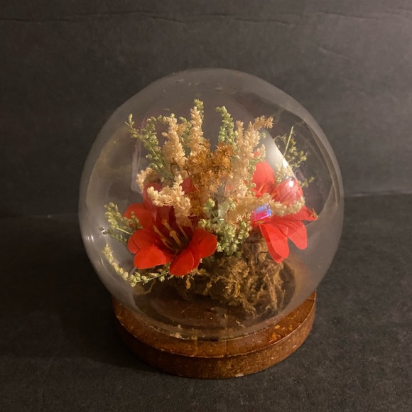 Vintage Preserved Flower Glass Dome - Picture 1 of 4